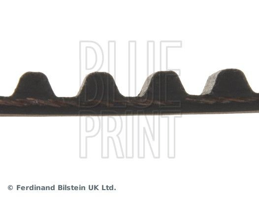 Pasek rozrządu K01612205 Hyundai/Kia